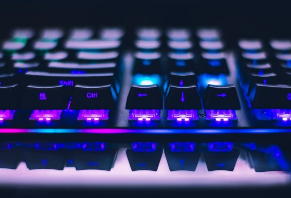 pexels-johnpet-2115257